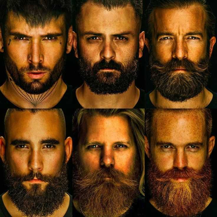 Мужские бороды — самые популярные формы в 2021 советы по уходу