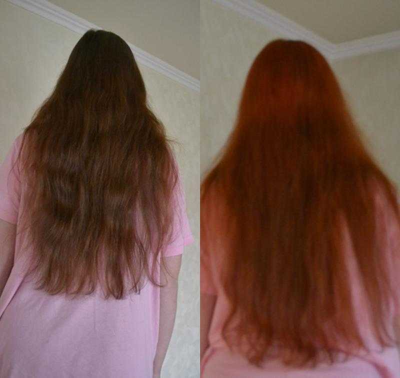 Как я отращивала свой цвет волос после хны