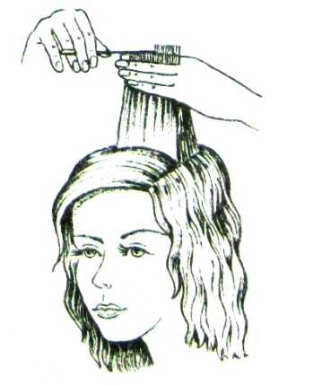 Курсовая работа на тему стрижка на длинных волосах