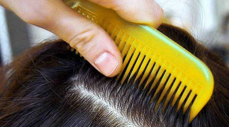Чем и как можно быстро и эффективно вычесать вшей и гнид с волос человека