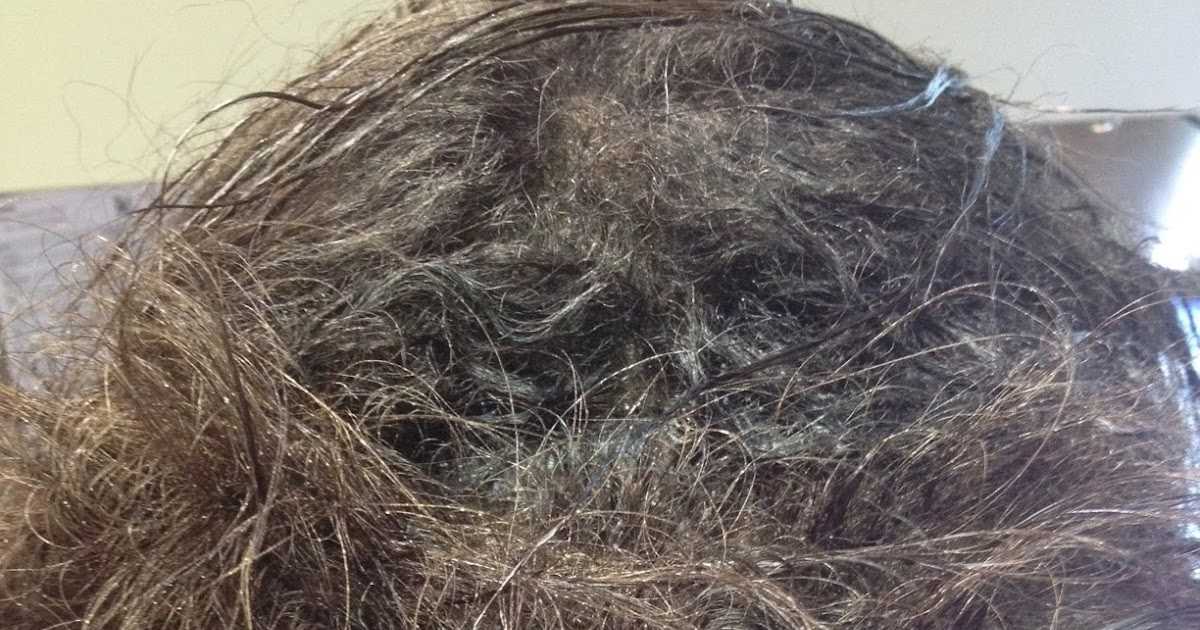 Как расчесать запутанные волосы в домашних условиях?