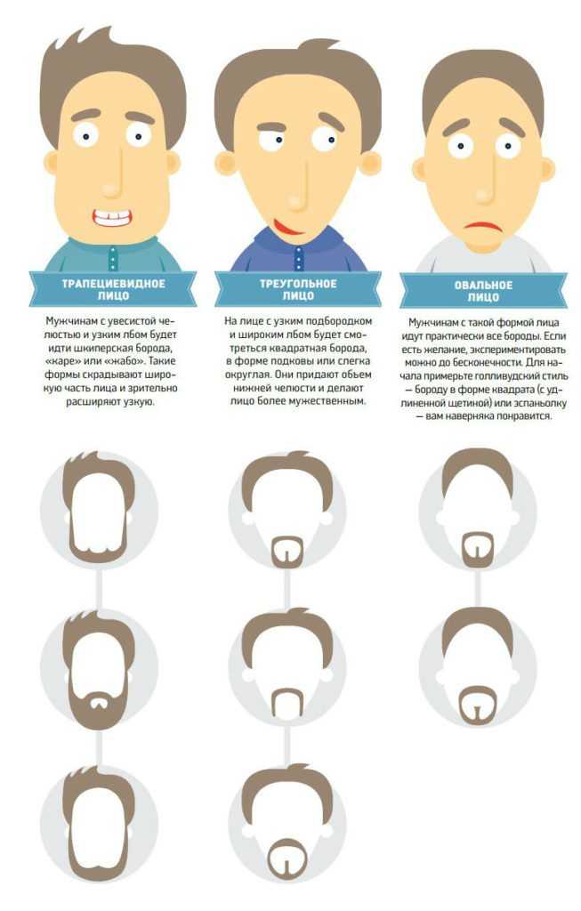 Виды бороды у мужчин с фото и названиями, правила выбора