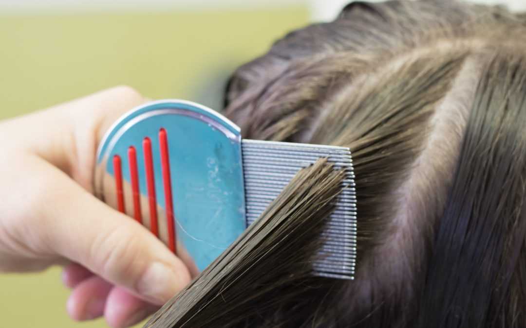 Как вычесать гнид с длинных волос: как правильно, быстро и чем это сделать, техника вычесывания вшей, видео, зачем нужно это сделать после обработки у человека
