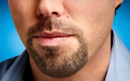 Лучшие стили короткой бороды для каждой формы лица • intrends