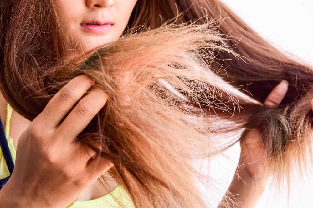 Восстановление кудрявых волос - уход за кудрявыми и вьющимися волосами