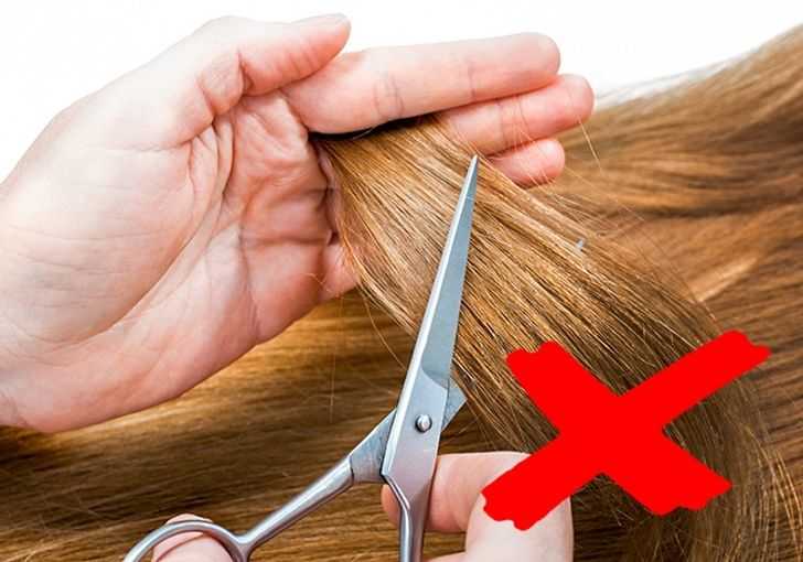 Мифы о волосах: 12 популярных предубеждений и мнение экспертов