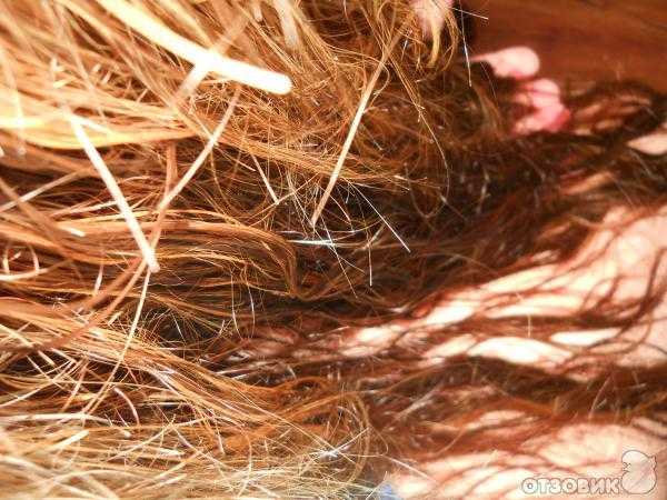Колтуны в волосах: причины спутывания волос и способы избавления . милая я