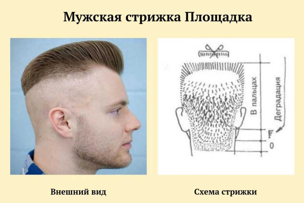 Основные виды и приемы выполнения стрижек волос