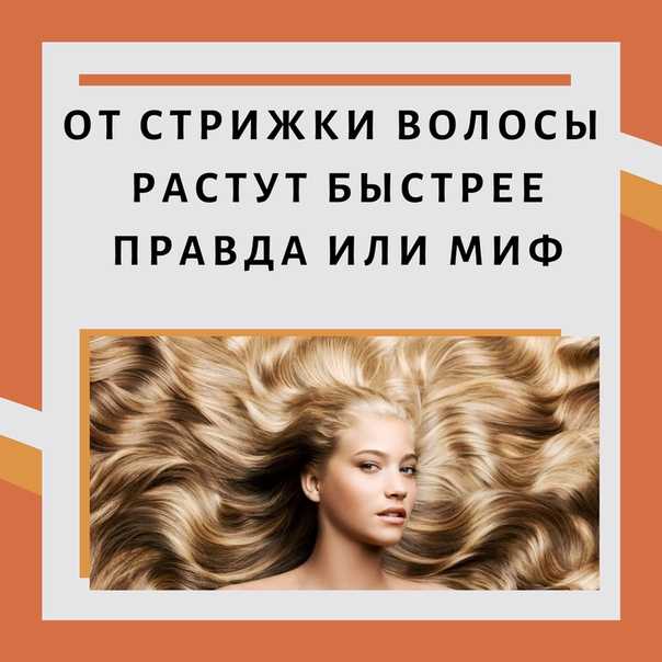 Эксперты по волосам рассказывают - растут ли волосы быстрее после стрижки Почему нужно вовремя подстригать кончики волос и как отрастить здоровые волосы