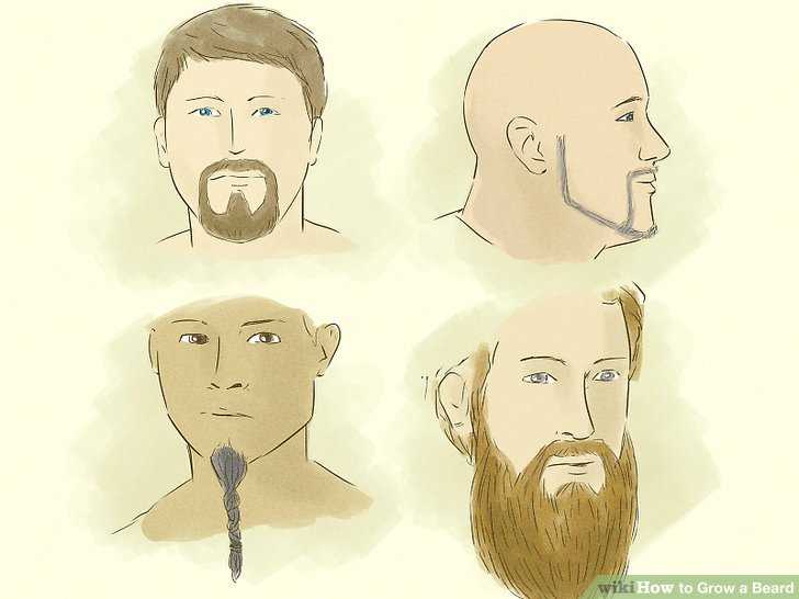 Сколько нужно отращивать бороду чтобы сделать форму