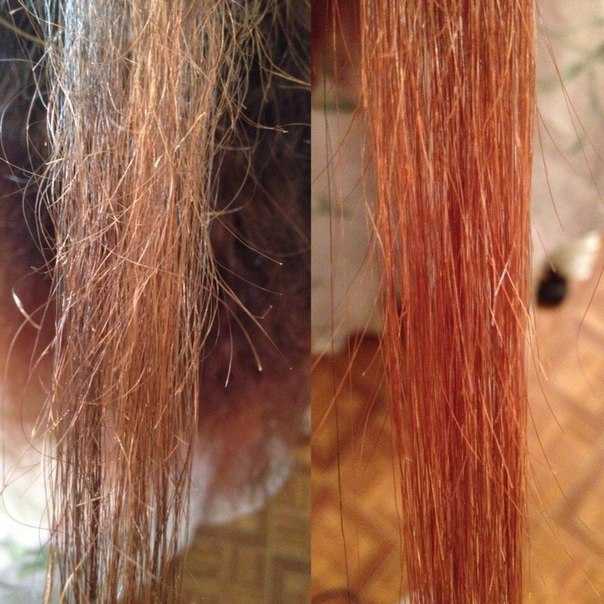 Стоит ли использовать бальзам для волос?