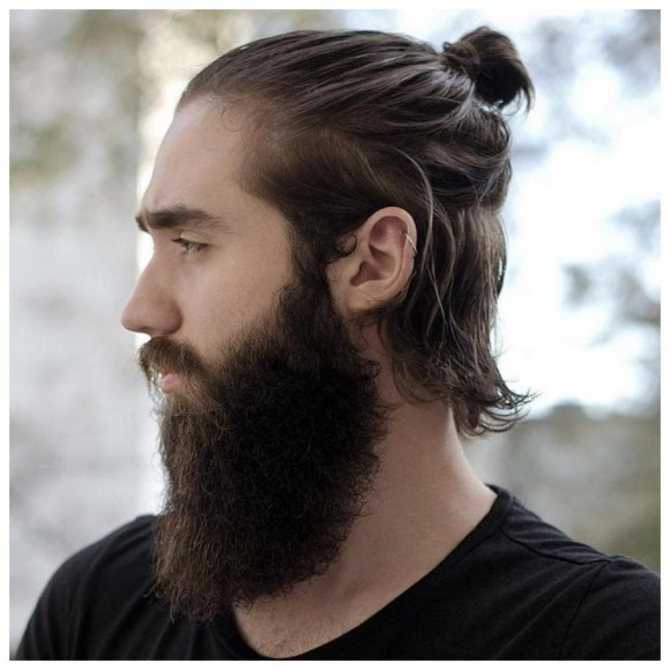 Расскажем о длинной бороде: как отрастить, сделать, стричь и ухаживать 6 красивых форм: полная, гарибальди, густая, бандхольц, утиный хвост и голландская