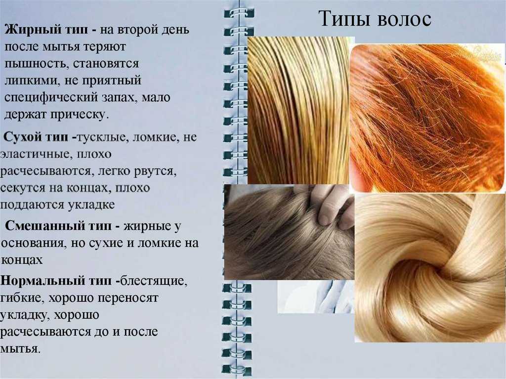 Как определить тип волос и кожи головы - клиника «доктор волос»