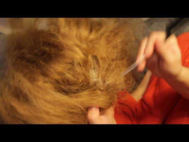Как укротить спутанные волосы