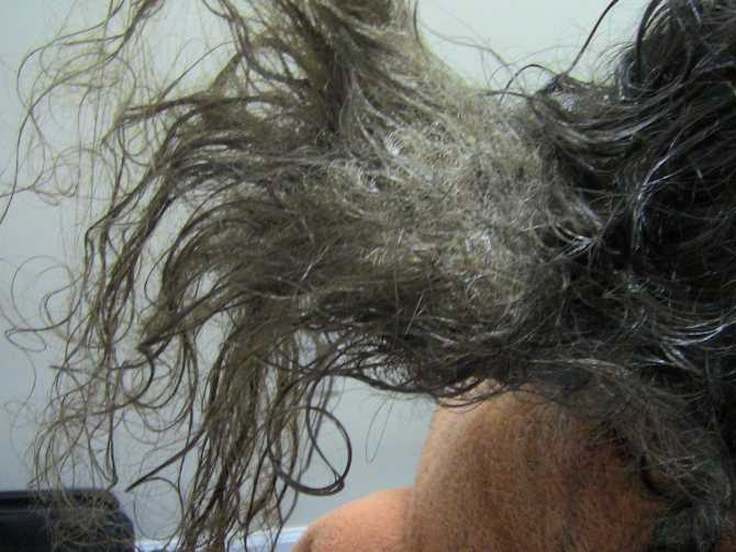 Как сделать волосы мягче в домашних условиях, шелковистыми и послушными