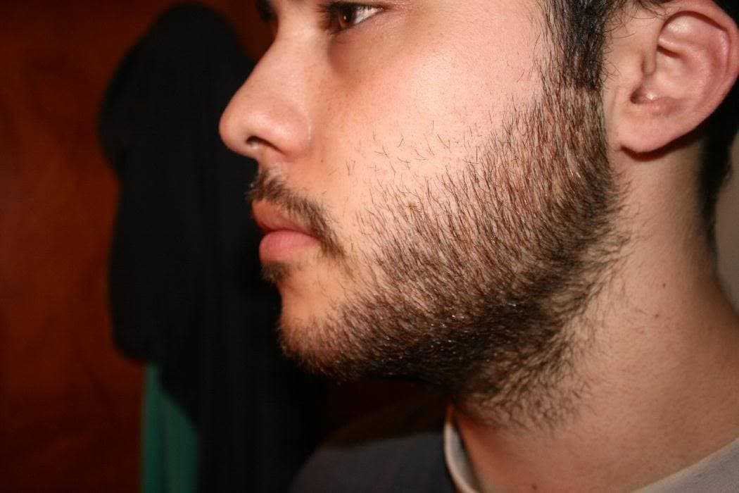 New! модная борода 2020-2021 у мужчин 150 фото с усами и без