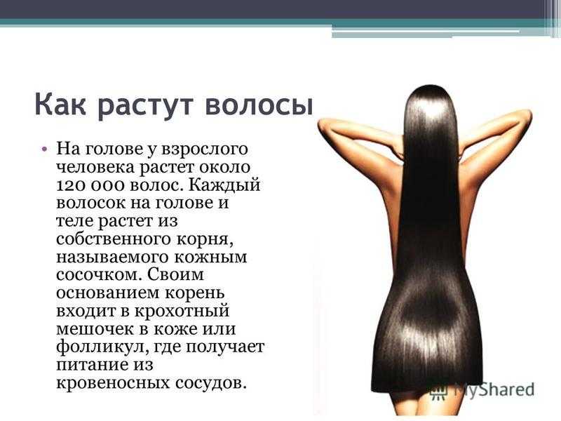 На сколько процентов покрыта волосами тело человека