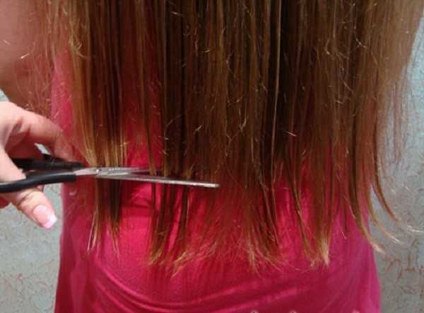 Как подстричь кончики волос самостоятельно в домашних условиях: 8 способов