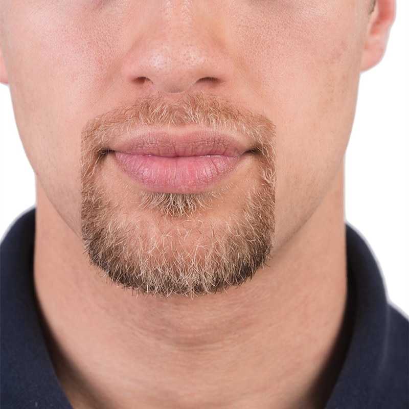 Все формы и виды бороды у мужчин