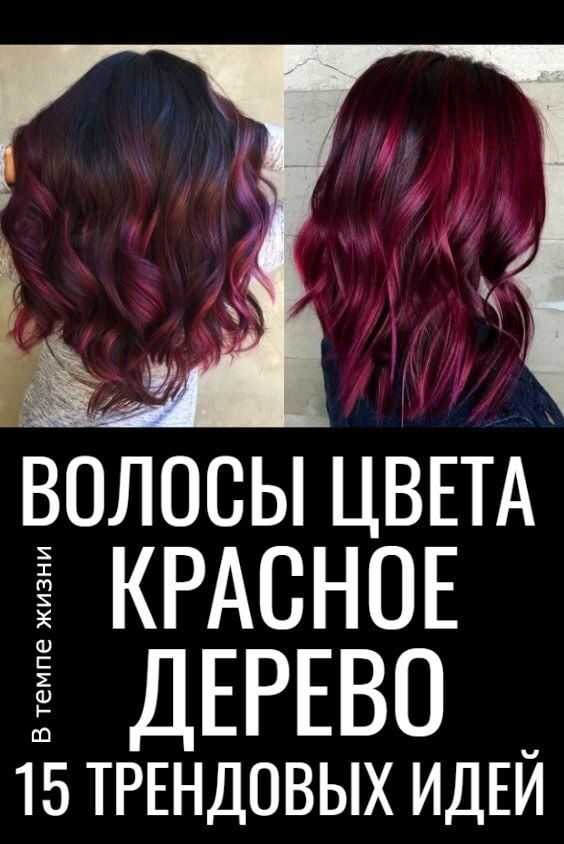 Цвет волос "красное дерево": какую краску выбрать, кому подходит, отзывы - luv.ru