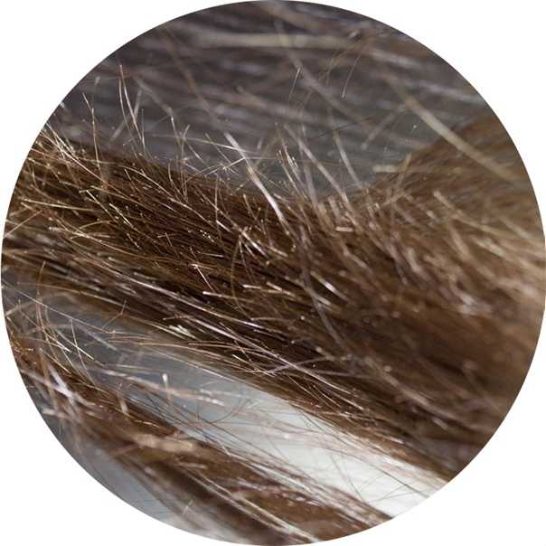 Уход за пористыми волосами - профессиональные и домашние средства за окрашенными пористыми вьющимися, тонкими волосами