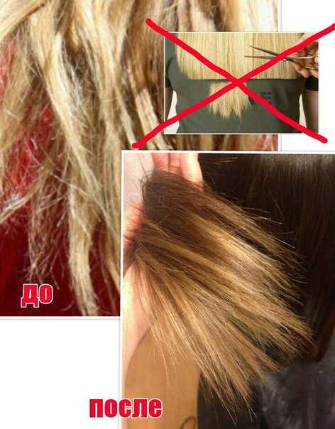 Как восстановить секущиеся волосы по всей длине в домашних условиях
