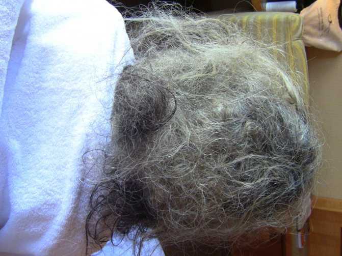 Как распутать волосы, если они сильно запутались в комок - magic hair studio