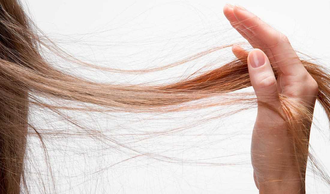 Трихология: лечение волос и кожи головы | семейный доктор