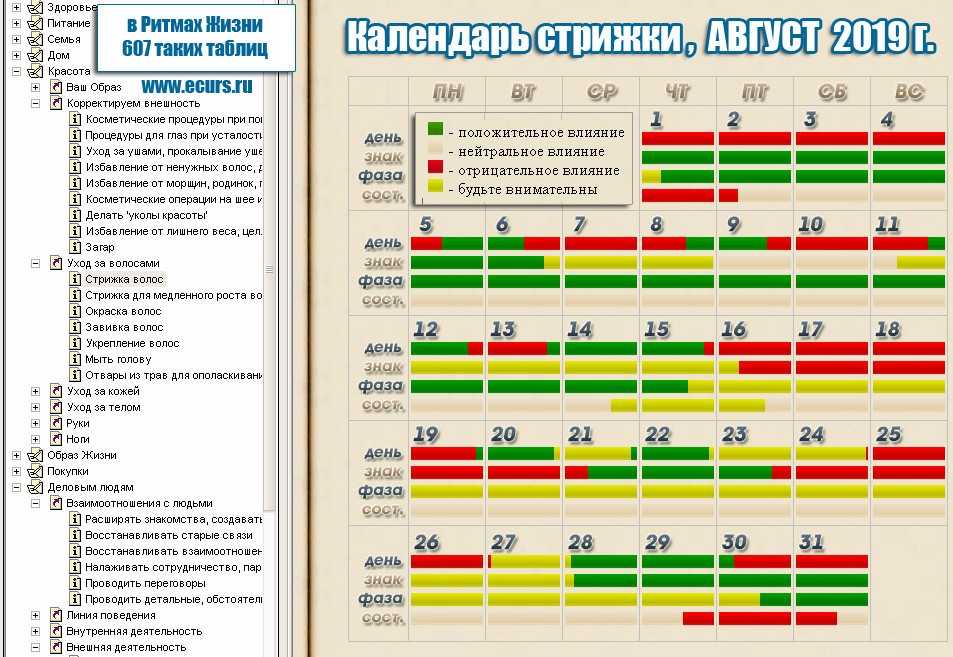 Удачные дни для стрижки в августе