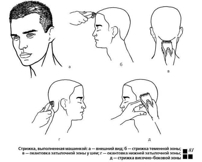 Мужская стрижка полубокс ✂️ как выглядит прическа, схема стрижки, отличие от бокса | твоя стрижка .ru