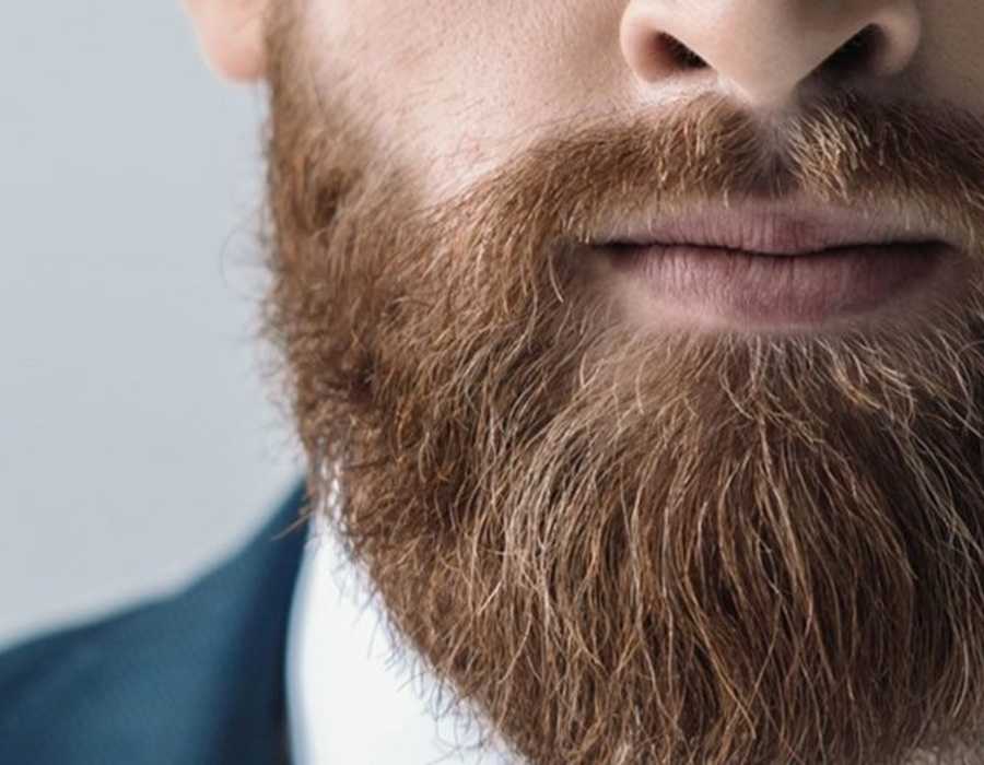 Формы, стили и виды бороды у мужчин с усами и без усов