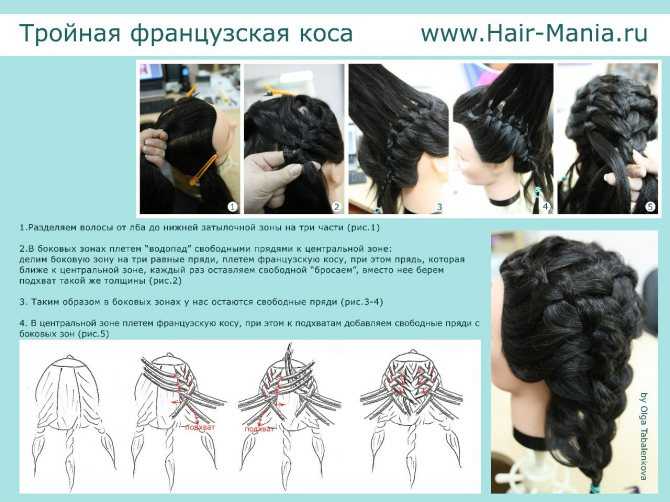Прическа корзинка: пошаговая технология плетения косички по кругу, разновидности укладки волос
