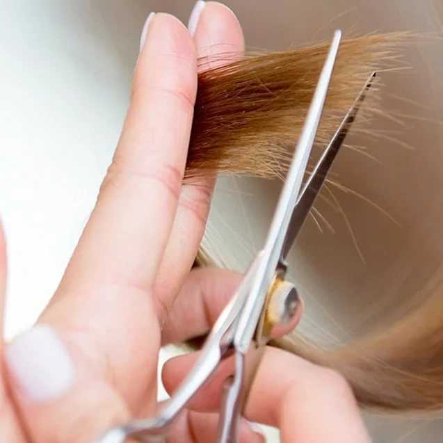 Как отрастить волосы после короткой стрижки девушке: как правильно это сделать, как часто нужно стричь и растут ли от этого быстрее, влияет ли на скорость тип прически, этапы и средства ухода