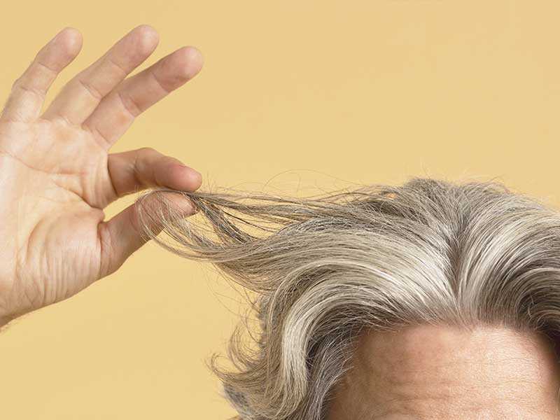 Опасно ли вырывать седые волосы, что может произойти и есть ли альтернатива борьбы с сединой
