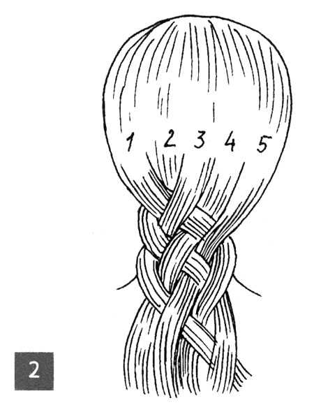 Особенности прически коса из 4 прядей: кто придумал, кому подходит Можно ли самостоятельно заплести четырехпрядную косу, техника выполнения Варианты причесок из четырех прядей, плюсы и минусы укладки Фото знаменитостей