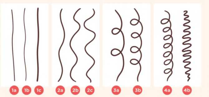 Как определить тип волос: полезные советы
