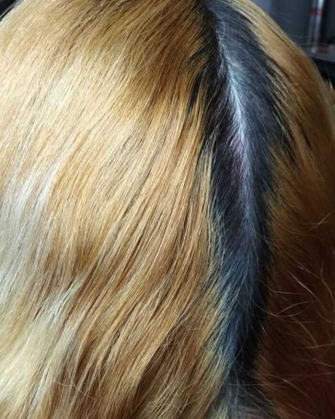 Можно ли вернуть натуральный цвет волос после окрашивания?