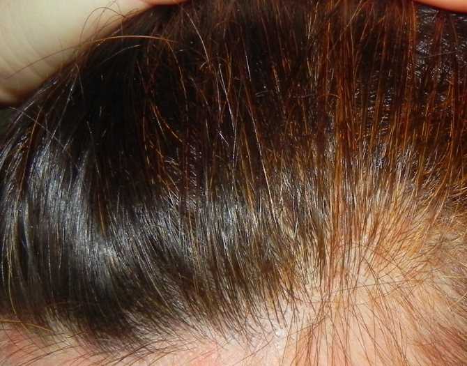 Хна и басма для волос: пропорции, цвета и правила окрашивания