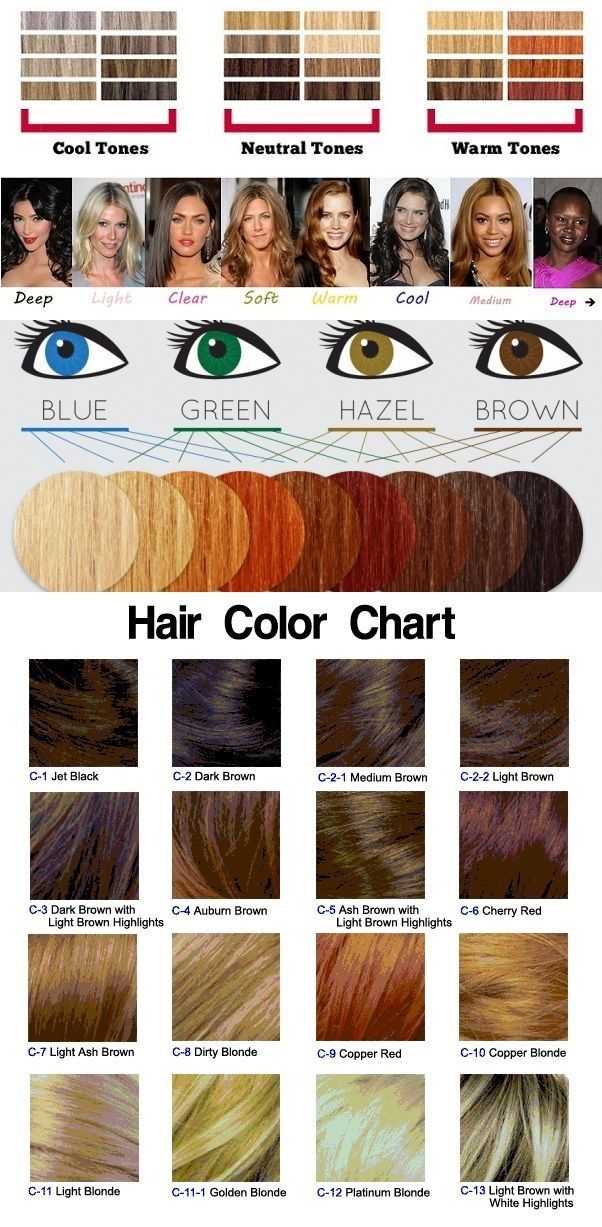 Как выбрать краску ля волос palette: особенности подбора оттенка и палитра