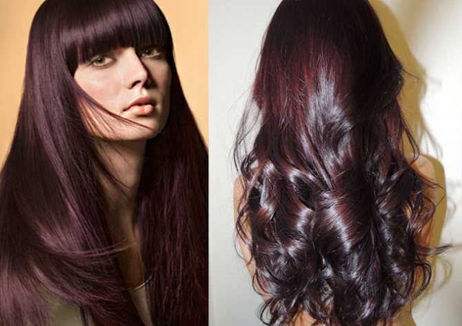 Какие оттенки входят в профессиональную палитру красок для волос? фото темной и светлой гаммы