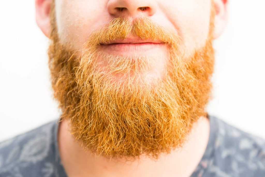 Как отрастить бороду - этапы роста, стиль и уход
как отрастить бороду - этапы роста, стиль и уход