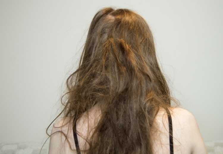 Пошаговая инструкция и советы, чтобы распутать запутанные волосы в домашних условиях Выбираем правильно расческу и косметические средства, которые помогут расчесать колтуны