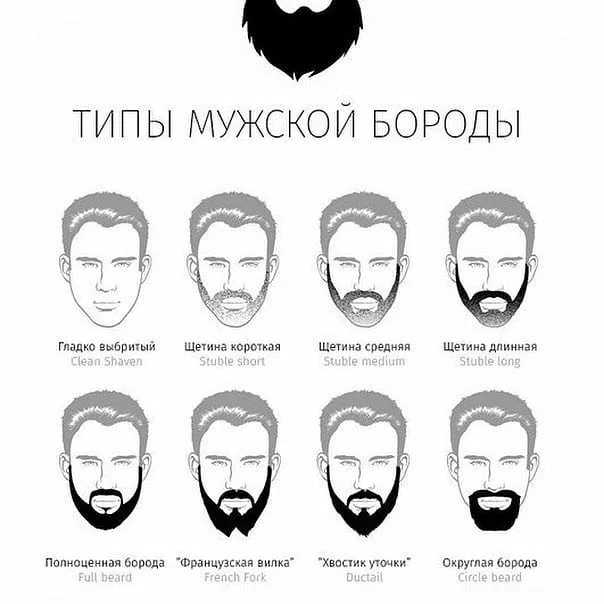 Формы бороды по типу лица: фото и советы для вас, а также какая подойдет мужчинам с круглым, овальным и другими видами ликов, как себе выбрать, с усами или без?