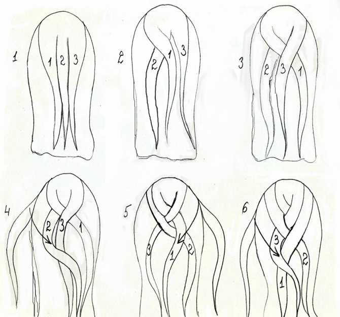 Плетение кос. виды и схемы плетения кос |