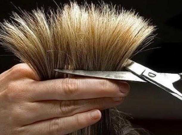 7 раз отмерь – один отрежь: как правильно подстричь волосы
