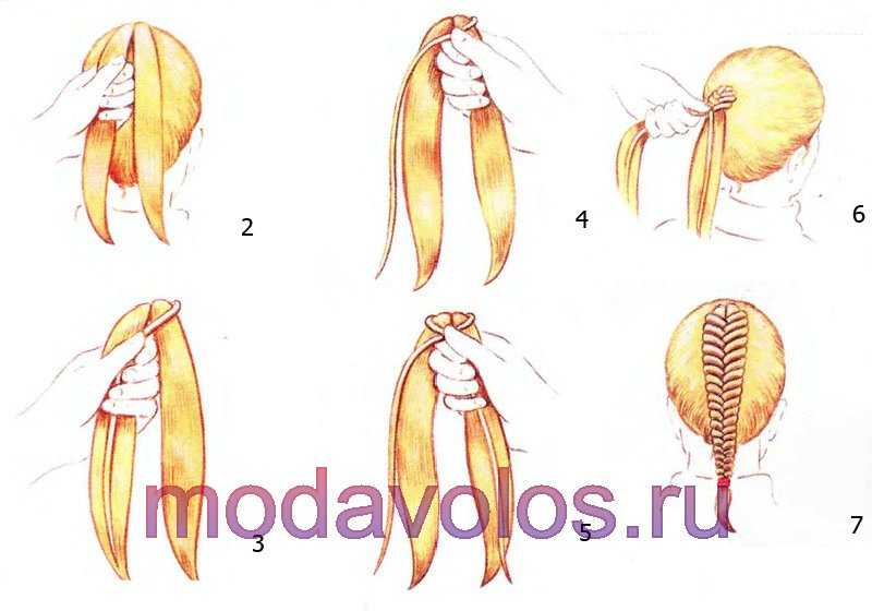 Коса из пяти прядей: разновидности и особенности плетения