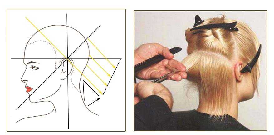 Что такое градуированная стрижка, кому подойдет и особенности техники для коротких волос Модные идеи для градуированной стрижки: боб, каре и каскад Советы от ведущих парикмахеров по уходу и укладке