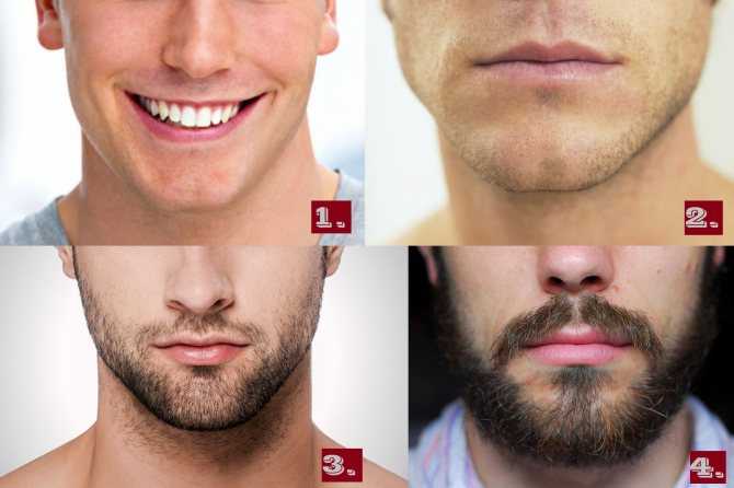 Как правильно мужчине отрастить бороду: правила и советы специалистов