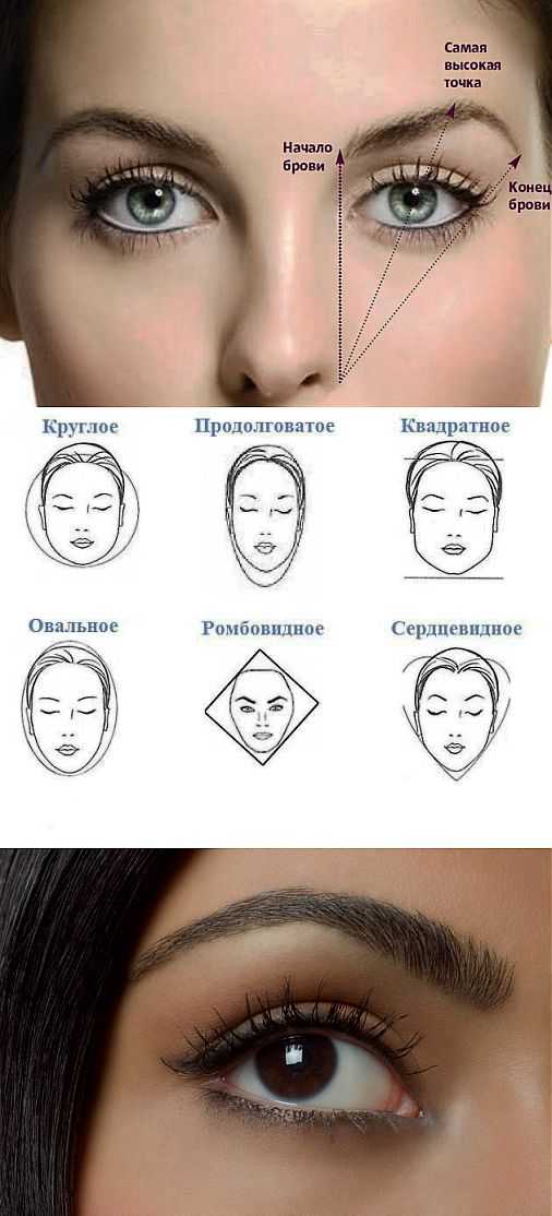 Брови для овального лица (фото). какие брови подходят для овального лица? :: syl.ru
