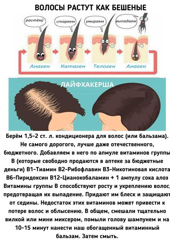 Почему не растут волосы на голове у мужчин и женщин?